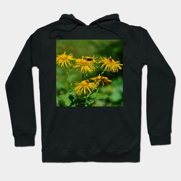 Alpine flowers Hoodie by mbangert